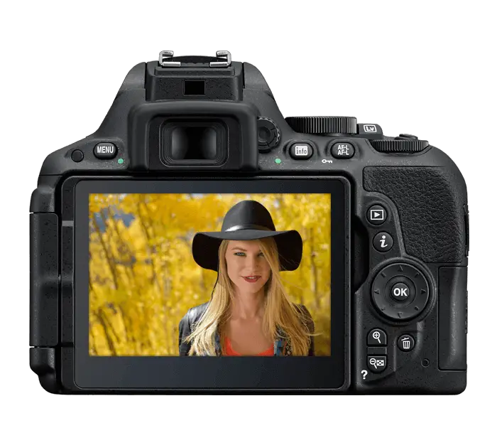 Nikon D5500 display