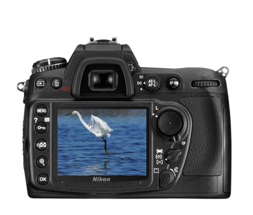 Nikon D300 display