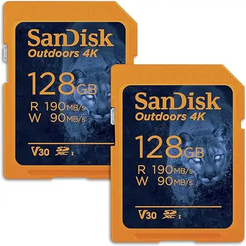 SanDisk 128GB 2-Pack Outdoors 4K SDXC UHS-I Memory Card (2x128GB)