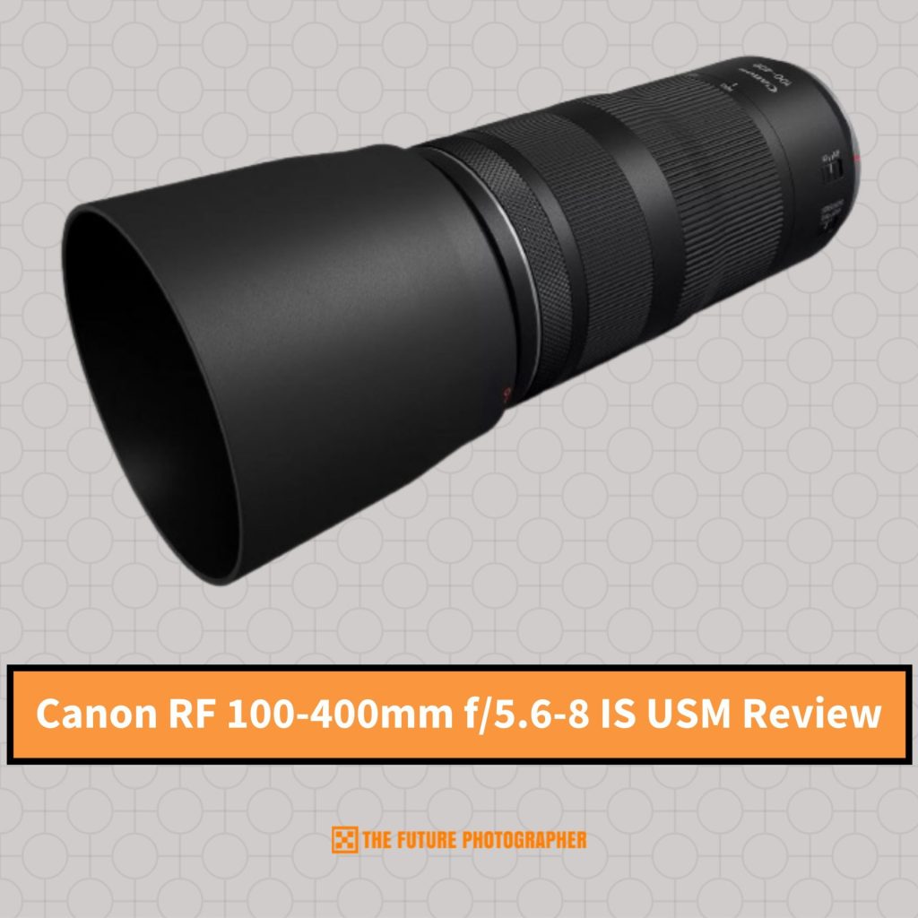 Canon RF 100-400mm f56-8 IS USM Telephoto Lens Review